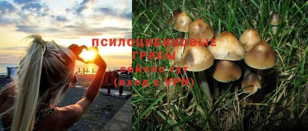 MDMA Premium VHQ Бронницы