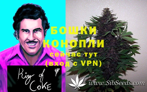 дживик Бугульма