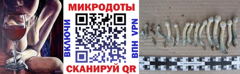 ссылка на мегу как войти  Елизаветинская  Галлюциногенные грибы ЛСД 